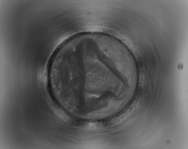 X0000103220584200808281410
