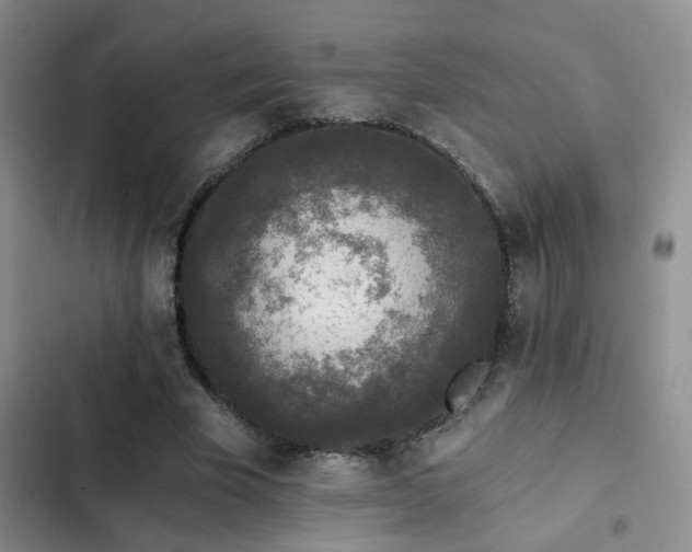 X0000103220585200808281410