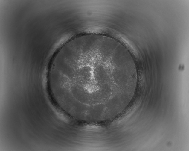 X0000103220586200808281410