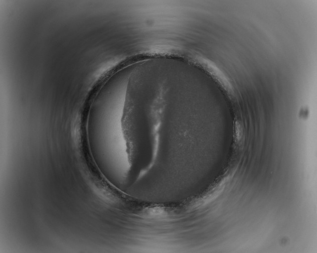 X0000103220588200808281410