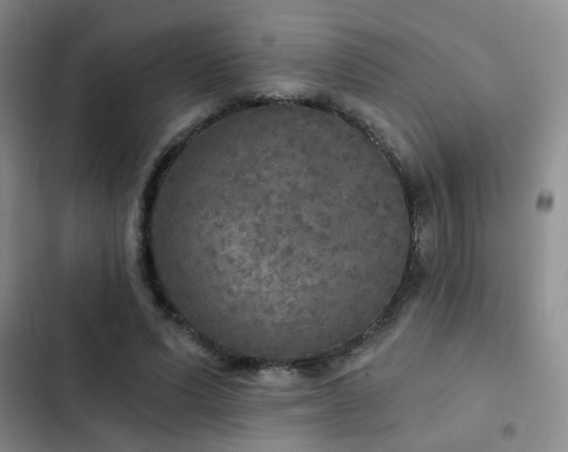 X0000103220591200808281409