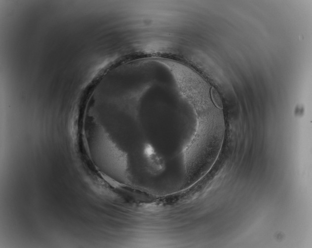 X0000103220592200808281409