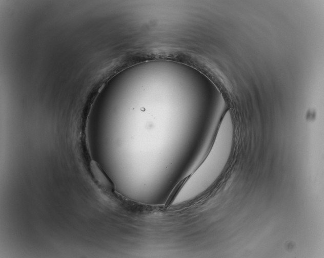 X0000103220593200808281409