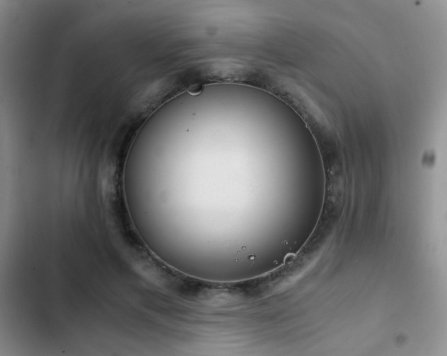 X0000103220597200808281409