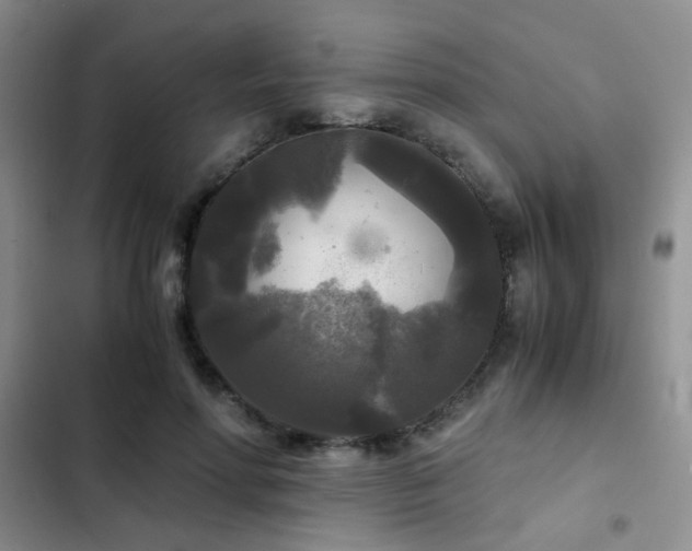 X0000103220598200808281409