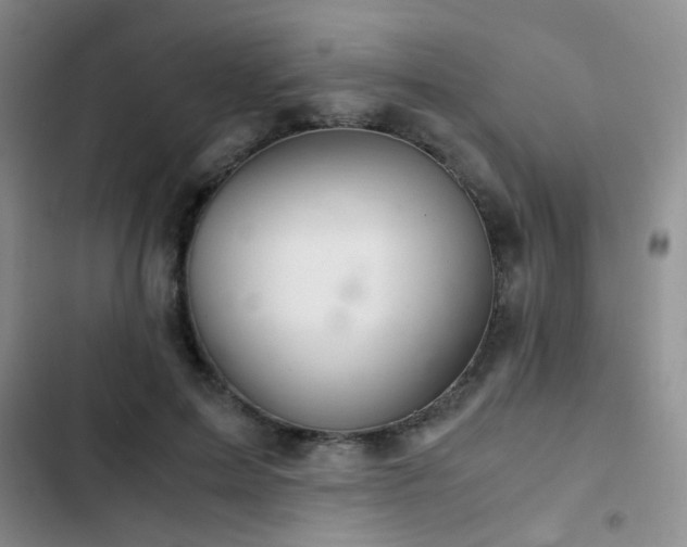 X0000103220599200808281409