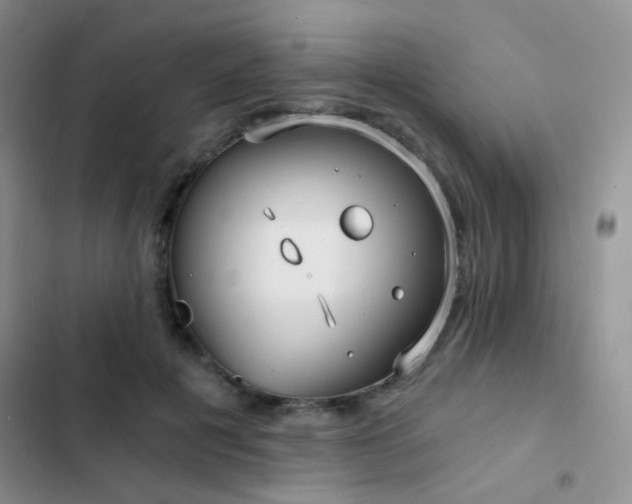 X0000103220601200808281409
