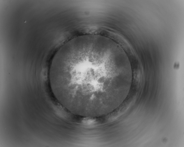 X0000103220602200808281409
