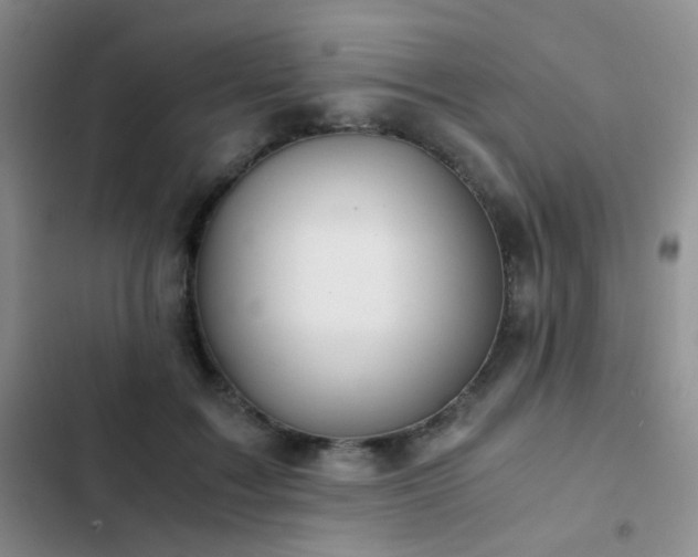 X0000103220603200808281409