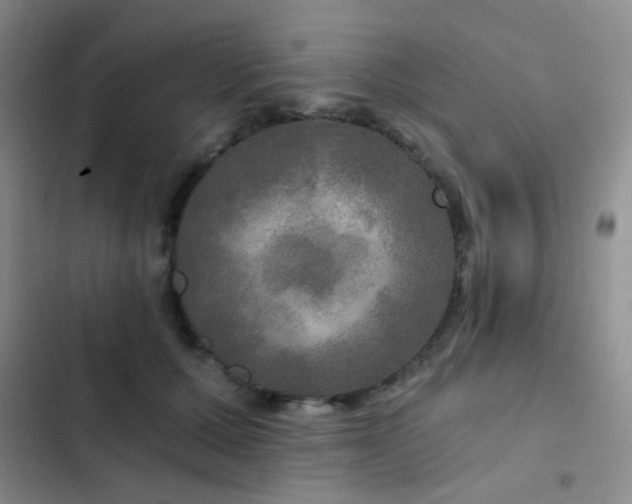 X0000103220607200808281409