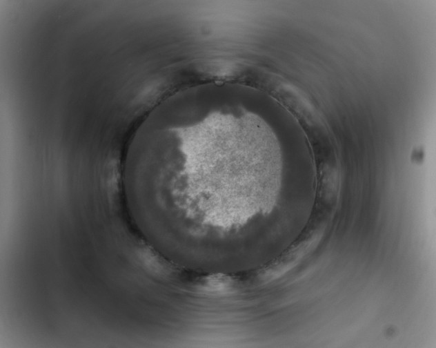 X0000103220612200808281409