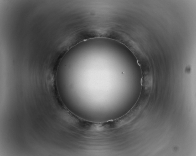 X0000103220613200808281409