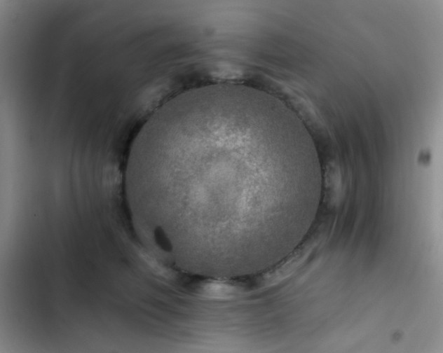X0000103220614200808281409