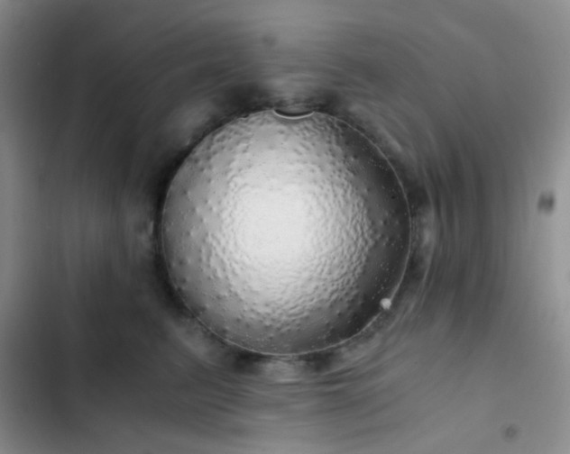 X0000103220615200808281409