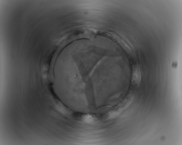 X0000103220616200808281409