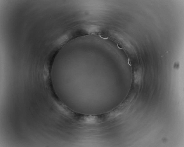 X0000103220618200808281409