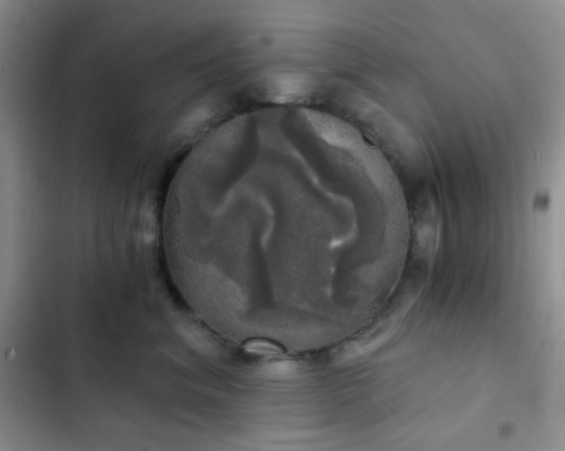 X0000103220620200808281409