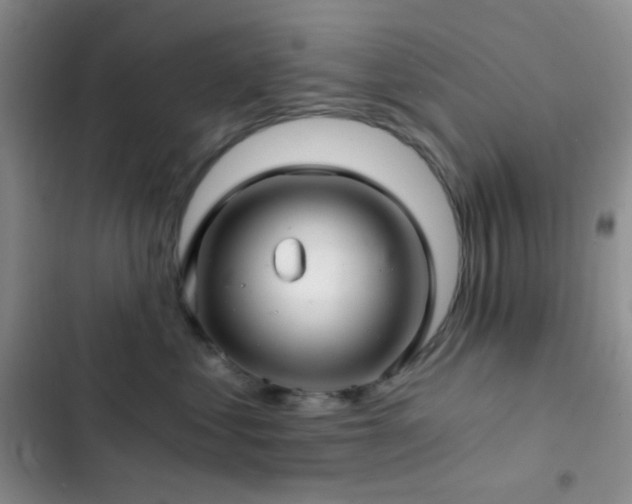 X0000103220621200808281409