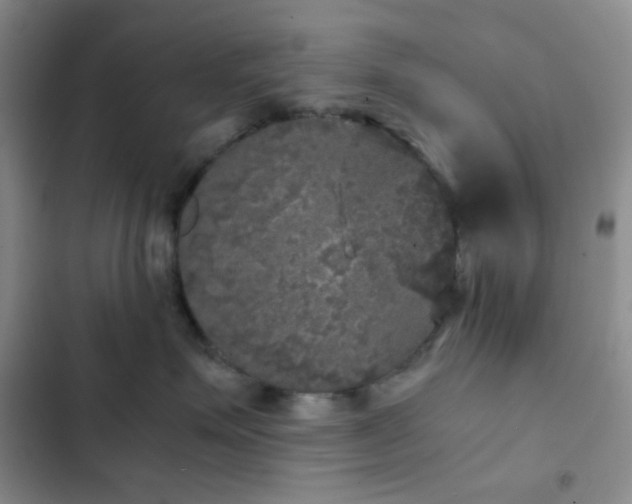X0000103220623200808281409