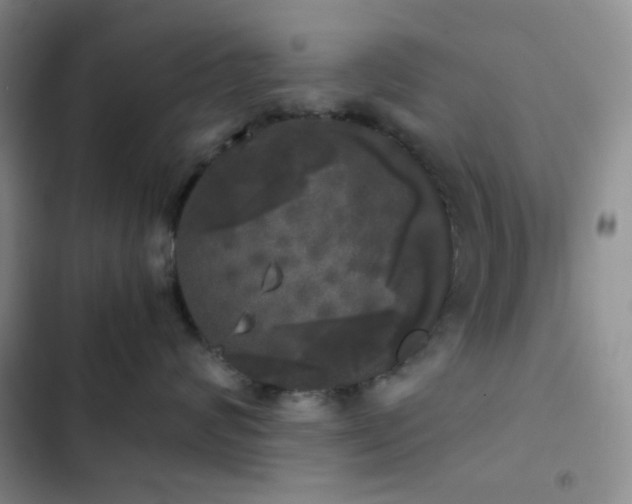 X0000103220624200808281409