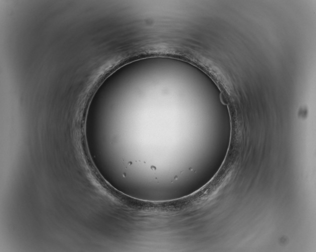 X0000103220625200808281408