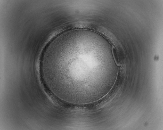X0000103220626200808281408