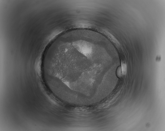 X0000103220627200808281408