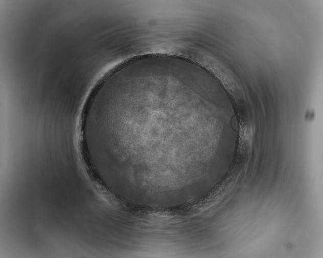 X0000103220628200808281408