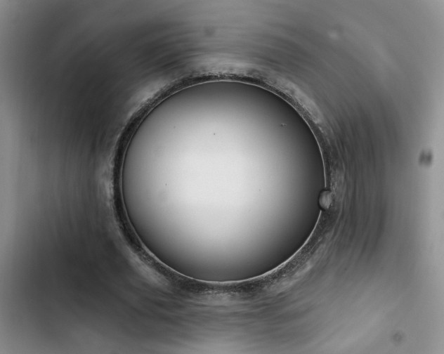 X0000103220629200808281408