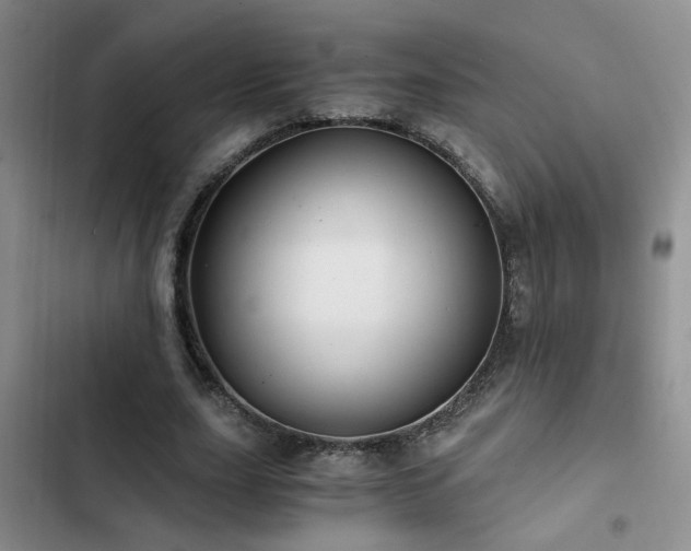 X0000103220631200808281408