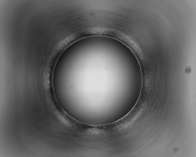 X0000103220633200808281408