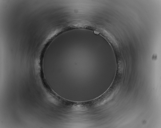 X0000103220634200808281408
