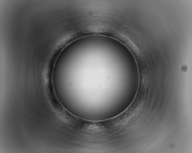 X0000103220635200808281408