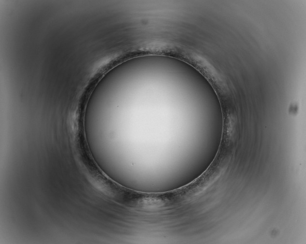 X0000103220636200808281408