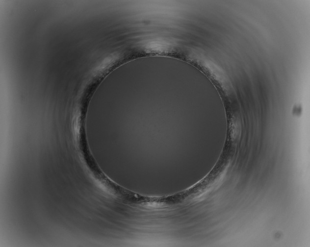 X0000103220637200808281408