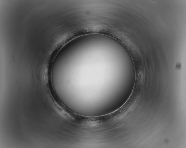 X0000103220638200808281408
