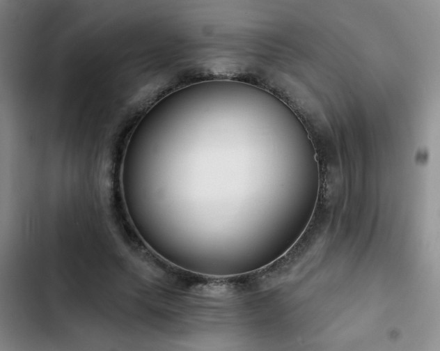 X0000103220639200808281408