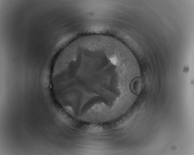 X0000103220640200808281408