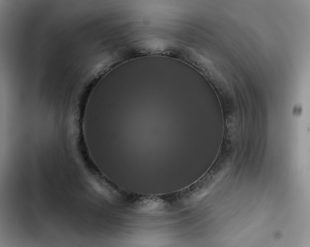X0000103220642200808281408