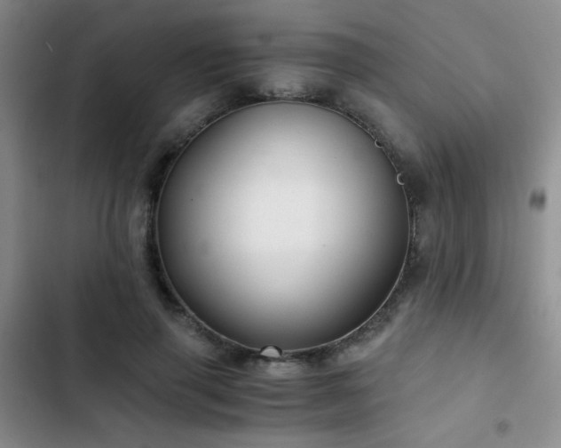 X0000103220645200808281409