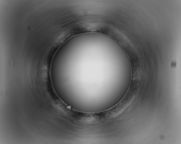 X0000103220646200808281409