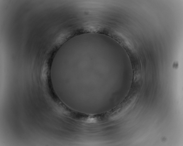 X0000103220647200808281409