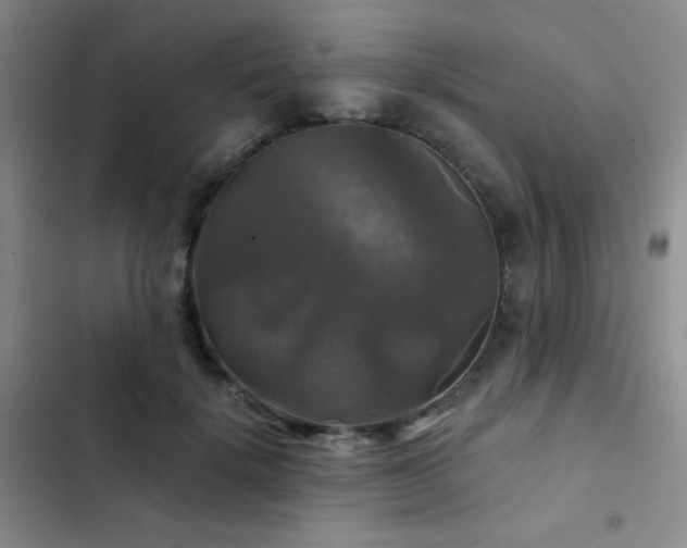 X0000103220652200808281409
