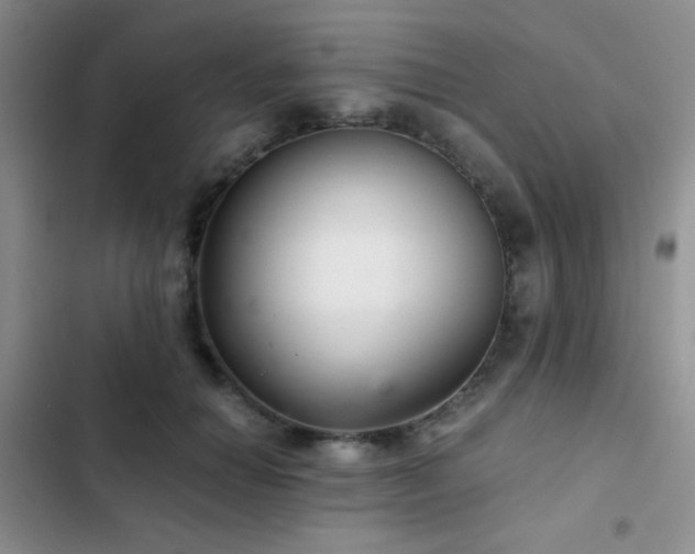 X0000103220654200808281409