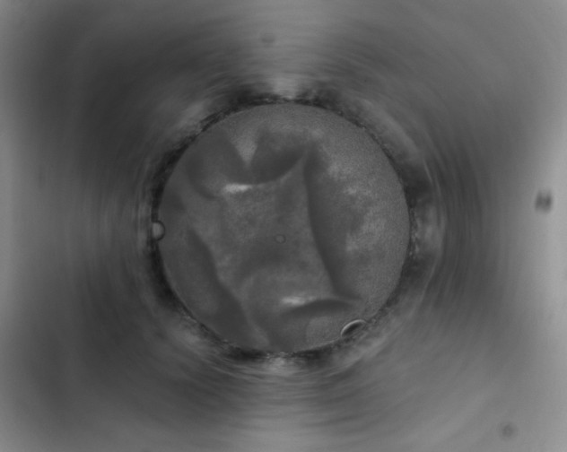 X0000103220656200808281409