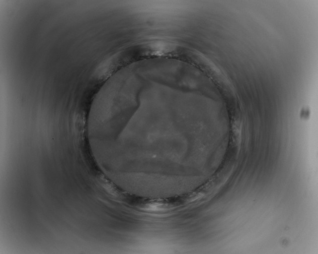 X0000103220657200808281409
