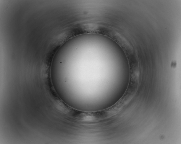 X0000103220658200808281409