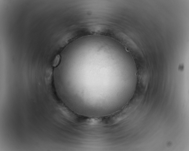 X0000103220660200808281409