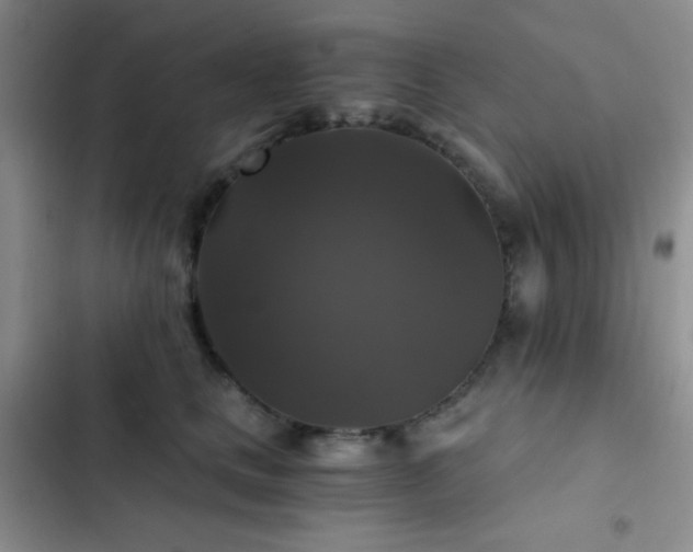 X0000103220661200808281409