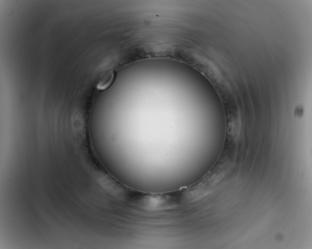 X0000103220662200808281409